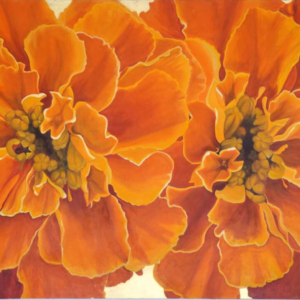 Marigolds