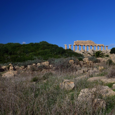 Ancient Greek Doric temple columns at Selinunte, Sicily, surrounded by wild grass