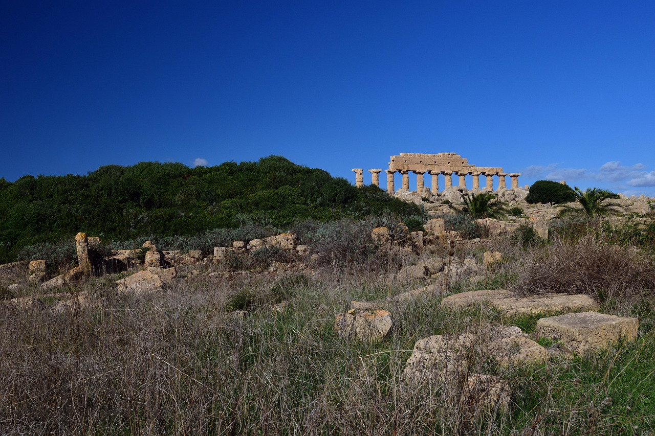 Ancient Greek Doric temple columns at Selinunte, Sicily, surrounded by wild grass