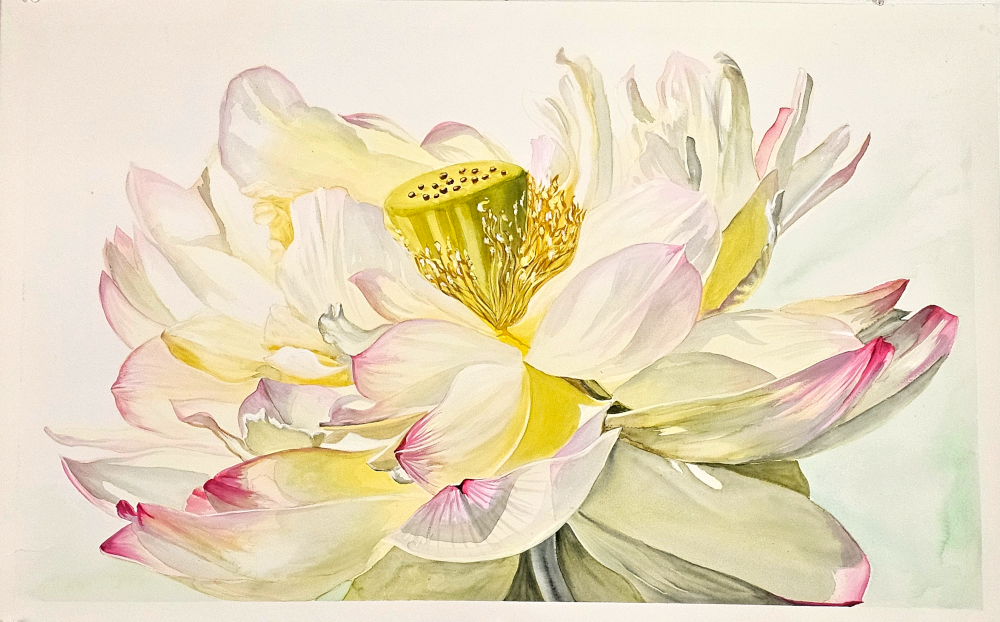 00_open_lotus_yohanna_jessup Open Lotus, mixed media painting of a fully opened lotus flower with cream, yellow, and pink petals and a golden center