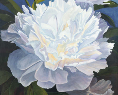 peonies_life_cycles_5X8_web Peonies - Lifecycles, an original painting showing peony flowers at the different stages of the cycle of transformations.