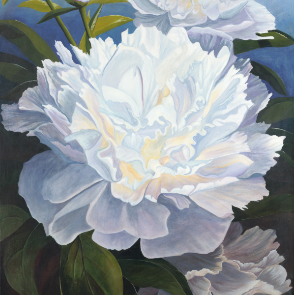 Peonies - Lifecycles, an original painting showing peony flowers at the different stages of the cycle of transformations.