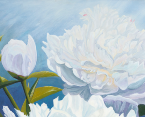 top_buds_peonies_lifecycles The top buds and bloom of Peonies Lifecycles - symbolizing Wood element, spring.