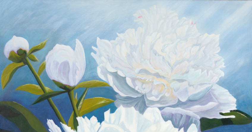 top_buds_peonies_lifecycles The top buds and bloom of Peonies Lifecycles - symbolizing Wood element, spring.