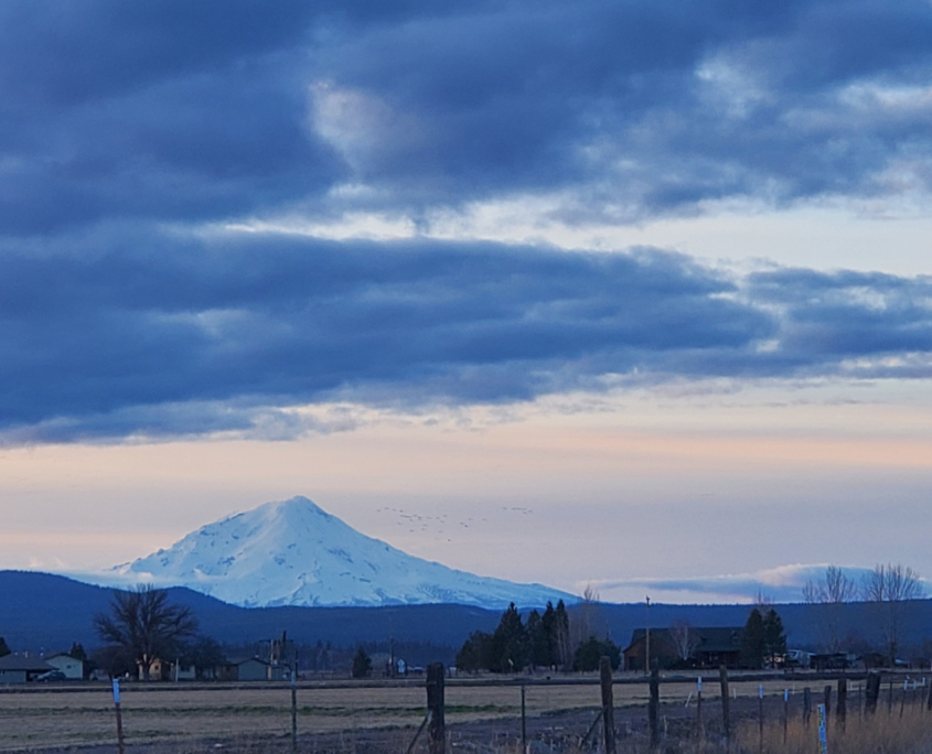 mt_shasta_eastern_view_yohanna_jessup Mount Shasts's eastern flank rising in the distance over green farmlands.