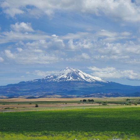 Mount Shasta as viewed from the northwest rising above the surrounding volcanic plateau in Northern California