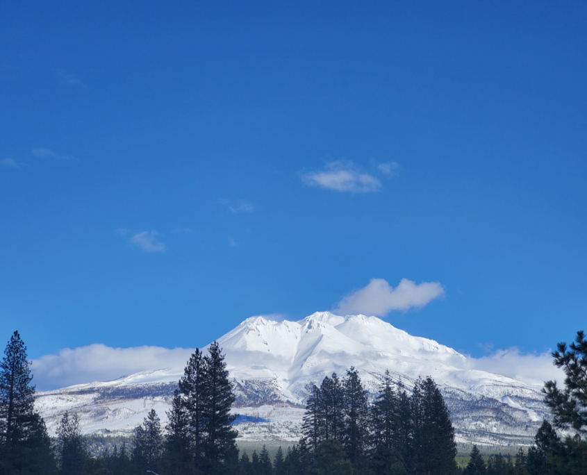 mt_shasta_western_view_yohanna_jessup Snow-covered Mount Shasta as seen from the west.